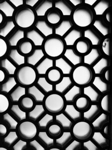 Intricate geometric pattern with circles, creating an abstract and artistic black and white texture.